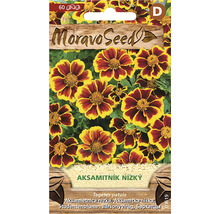 Balení semen Aksamitník nízký