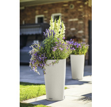 Vysoký plastový květináč osázený květinami