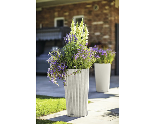Vysoký plastový květináč osázený květinami