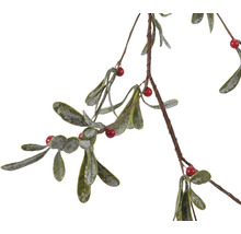 Jmelí s listy a bobulemi