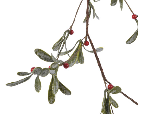 Jmelí s listy a bobulemi