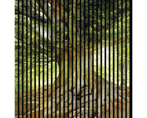 Designový akustický panel DIGI01J 19x1133x1195 mm Dekorativní okenní fólie se strukturou stromu a svislými pruhy