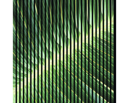 Designový akustický panel DIGI01K 19x1133x1195 mm Detail zeleného palmového listu za černými svislými pruhy
