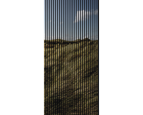 Designový akustický panel DIGI01E 19x1133x2400 mm Dekorační fólie s motivem trávy a oblohy na okna
