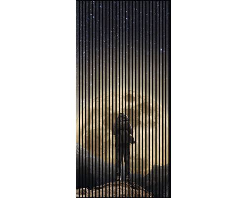 Designový akustický panel DIGI01P 19x1133x2400 mm Astronaut před měsícem, pohled skrz lamely