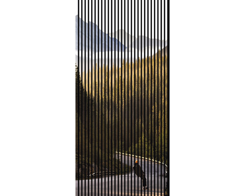 Designový akustický panel DIGI03F 19x1133x2400 mm Vertikální lamely zakrývají horskou krajinu s zalesněnými svahy a skateboardistou na klikaté silnici.