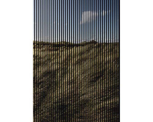 Designový akustický panel DIGI01E 19x1693x2400 mm Abstraktní zobrazení dunové krajiny s trávou pod modrou oblohou