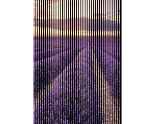 Designový akustický panel DIGI01H 19x1693x2400 mm Dekorativní obraz levandulového pole při západu slunce s vertikálními pruhy
