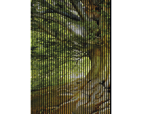 Designový akustický panel DIGI01J 19x1693x2400 mm Dekorativní obrázek s motivem stromu za černými linkami