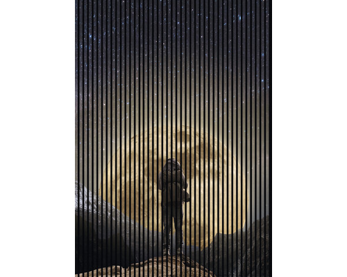 Designový akustický panel DIGI01P 19x1693x2400 mm Osoba stojí před velkým, jasným měsícem na noční obloze.