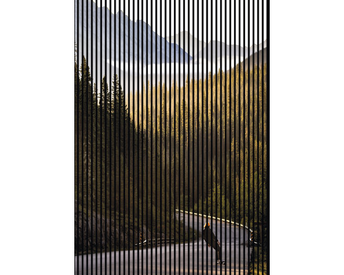 Designový akustický panel DIGI03F 19x1693x2400 mm Dekorativní pohled na les za svislými liniemi