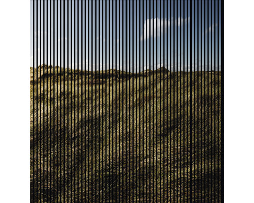 Designový akustický panel DIGI01E 19x2253x2400 mm Zobrazení dunové krajiny s trávou a modrou oblohou