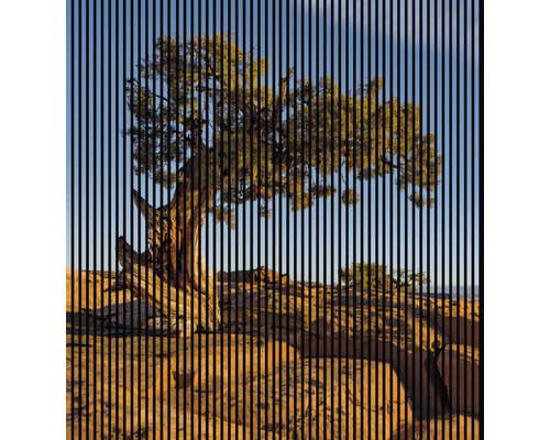 Designový akustický panel DIGI01I 19x2253x2400 mm Strom v pouštní krajině s vertikálními liniemi