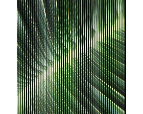 Designový akustický panel DIGI01K 19x2253x2400 mm Dekorativní zástěna s rostlinným motivem