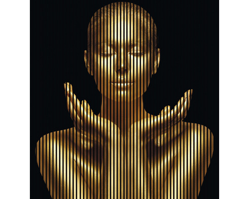 Designový akustický panel DIGI03M 19x2253x2400 mm Dekorativní zobrazení stylizované, zlaté ženské postavy s vertikálními liniemi.