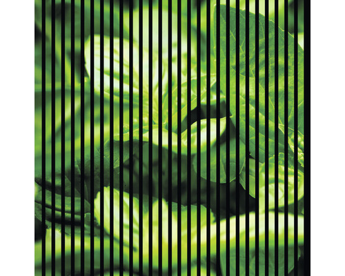 Designový akustický panel DIGI01R 19x1133x1195 mm Ilustrace listů za černými pruhy