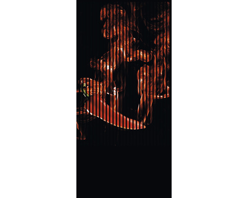 Designový akustický panel DIGI01W 19x1133x2400 mm Červená chilli paprička za černými pruhy s kouřovým efektem