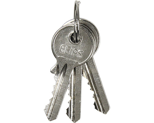 Svazek klíčů Elips se třemi klíči