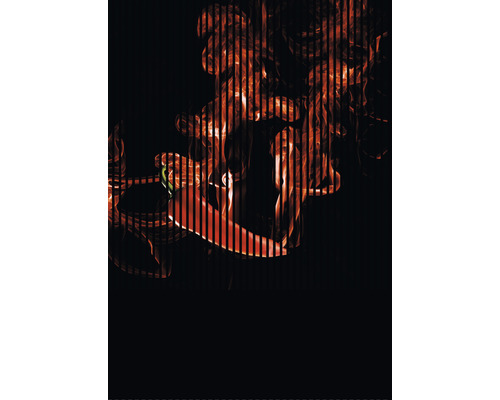Designový akustický panel DIGI01W 19x1693x2400 mm Chilli na tmavém pozadí, proložené svislými pruhy a kouřem