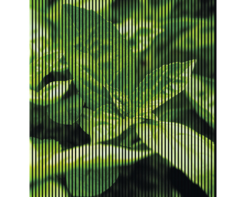Designový akustický panel DIGI01R 19x2253x2400 mm Abstraktní obraz listů s pruhy