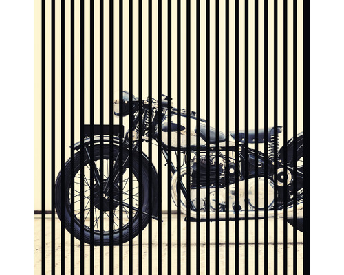 Designový akustický panel DIGI02P 19x1133x1195 mm Abstraktní obrázek motocyklu s vertikálními liniemi