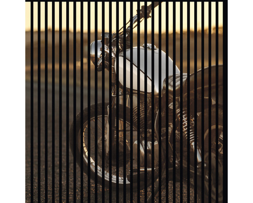 Designový akustický panel DIGI02Q 19x1133x1195 mm Motocykl s černými svislými pruhy