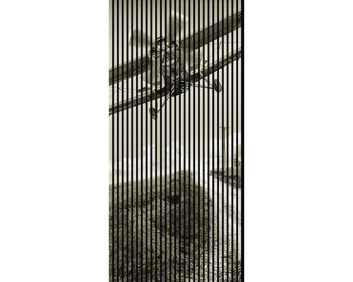 Designový akustický panel DIGI02H 19x1133x2400 mm Dekorativní obrázek letadla nad krajinou s vertikálními liniemi