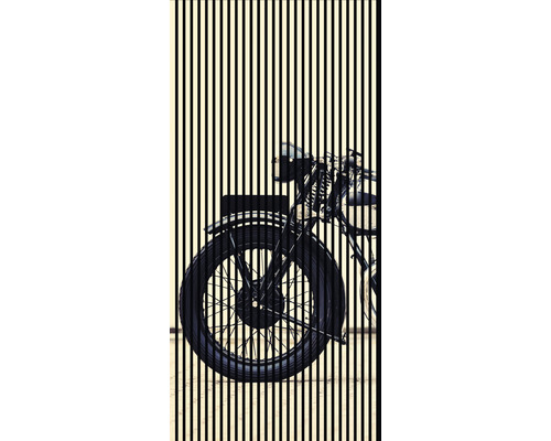 Designový akustický panel DIGI02P 19x1133x2400 mm Dekorativní obrázek motocyklu za svislými čarami
