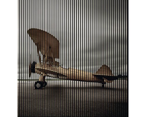 Designový akustický panel DIGI02J 19x2253x2400 mm Obraz dvouplošníku s vertikálními čarami v popředí
