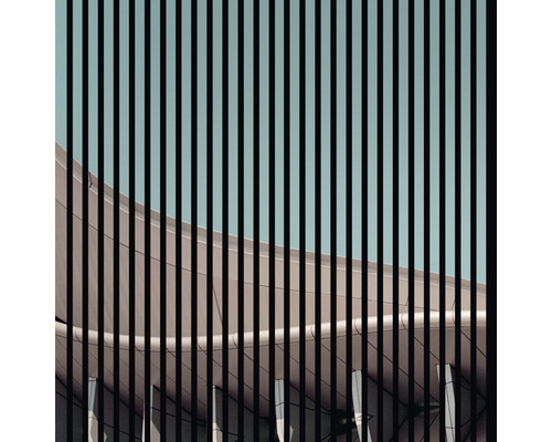 Designový akustický panel DIGI03D 19x1133x1195 mm Fasáda budovy s vertikálními liniemi