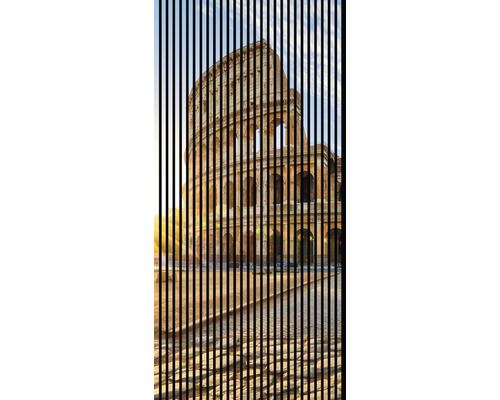 Designový akustický panel DIGI02U 19x1133x2400 mm Dekorativní lamelový závěs s motivem Kolosea