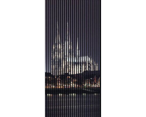 Designový akustický panel DIGI02Z 19x1133x2400 mm Motiv s kolínskou katedrálou za lamelami