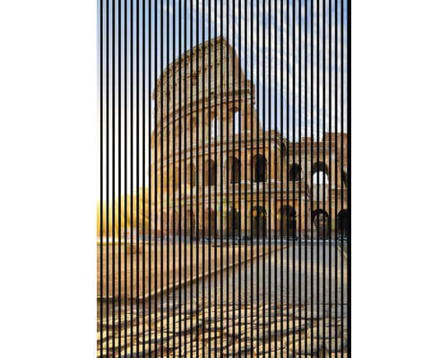 Designový akustický panel DIGI02U 19x1693x2400 mm Koloseum v Římě zobrazené svislými pruhy.