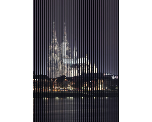 Designový akustický panel DIGI02Z 19x1693x2400 mm Dekorativní fólie s výhledem na Kolínský dóm