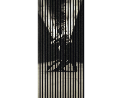 Designový akustický panel DIGI03R 19x1133x2400 mm Abstraktní obraz ženy za svislými liniemi