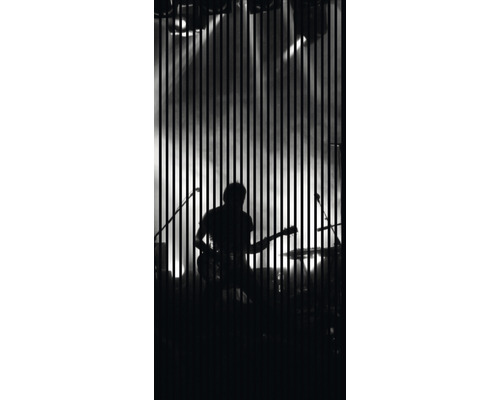 Designový akustický panel DIGI03S 19x1133x2400 mm Silueta hudebníka na pódiu s kytarou za svislými pruhy