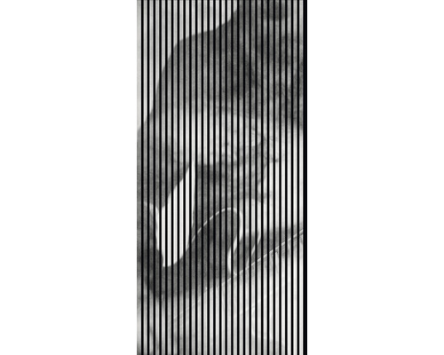 Designový akustický panel DIGI03U 19x1133x2400 mm Abstraktní obraz s vertikálními pruhy zakrývajícími obličej