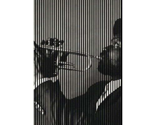 Designový akustický panel DIGI03P 19x1693x2400 mm Muž hraje na trubku před pruhovaným pozadím.