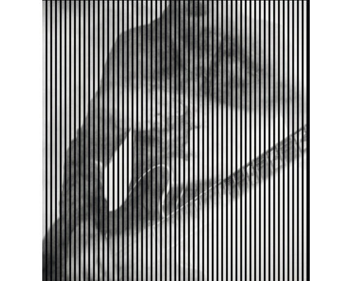 Designový akustický panel DIGI03U 19x2253x2400 mm Ilustrace ruky hrající na kytaru s překrývajícími se svislými čarami
