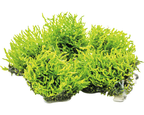 Umělá akvarijní rostlina s ukotvením