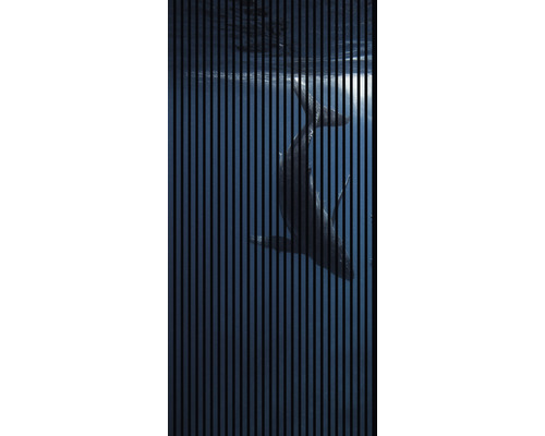 Designový akustický panel DIGI04G 19x1133x2400 mm Dekorativní panel s motivem velryby