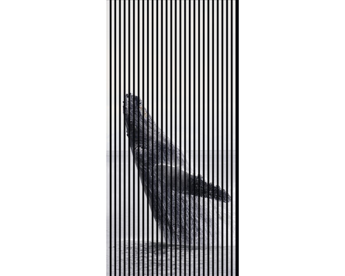 Designový akustický panel DIGI04H 19x1133x2400 mm Závěs s motivem velryby