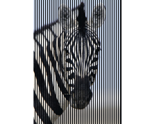 Designový akustický panel DIGI04E 19x1693x2400 mm Dekorativní obrázek zebry s vertikálními liniemi