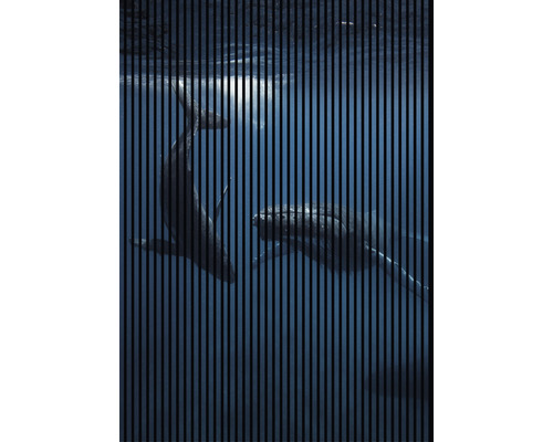 Designový akustický panel DIGI04G 19x1693x2400 mm Dekorativní panel s velrybami pod vodou