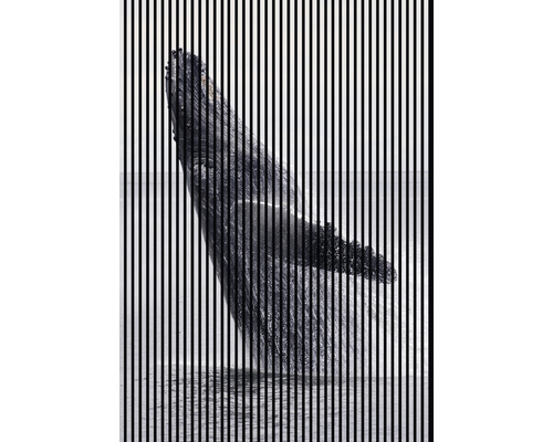 Designový akustický panel DIGI04H 19x1693x2400 mm Nástěnná malba s velrybou vyskakující z vody, překrytá svislými pruhy