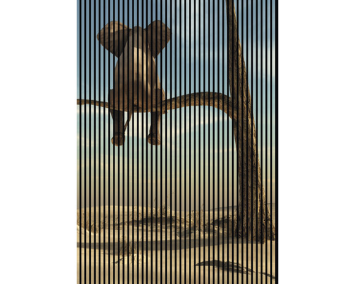 Designový akustický panel DIGI04K 19x1693x2400 mm Ilustrace slona sedícího na stromě