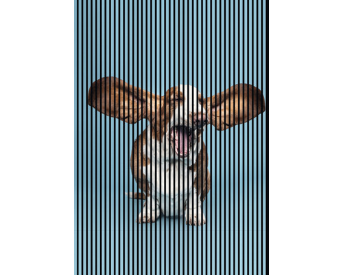 Designový akustický panel DIGI04M 19x1693x2400 mm Ilustrace zívajícího Basset Hounda s vertikálními pruhy