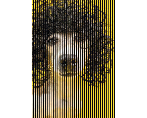 Designový akustický panel DIGI04N 19x1693x2400 mm Abstraktní obrázek psa s vertikálními liniemi