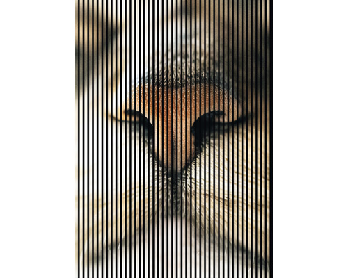 Designový akustický panel DIGI04O 19x1693x2400 mm Detail kočičího nosu s vertikálními pruhy