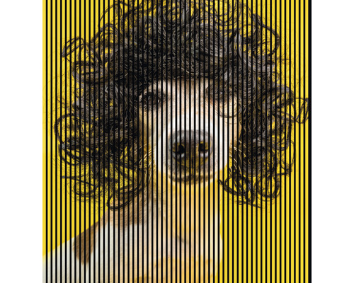Designový akustický panel DIGI04N 19x2253x2400 mm Ilustrace psa s vertikálními liniemi